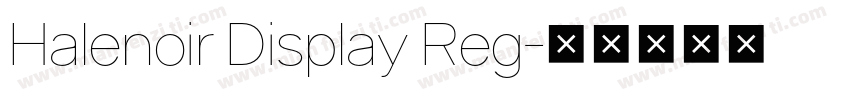 Halenoir Display Reg字体转换